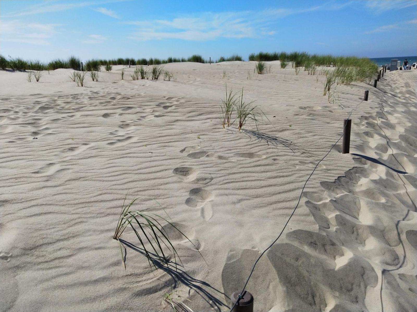 Ferienwohnung Central Apartment