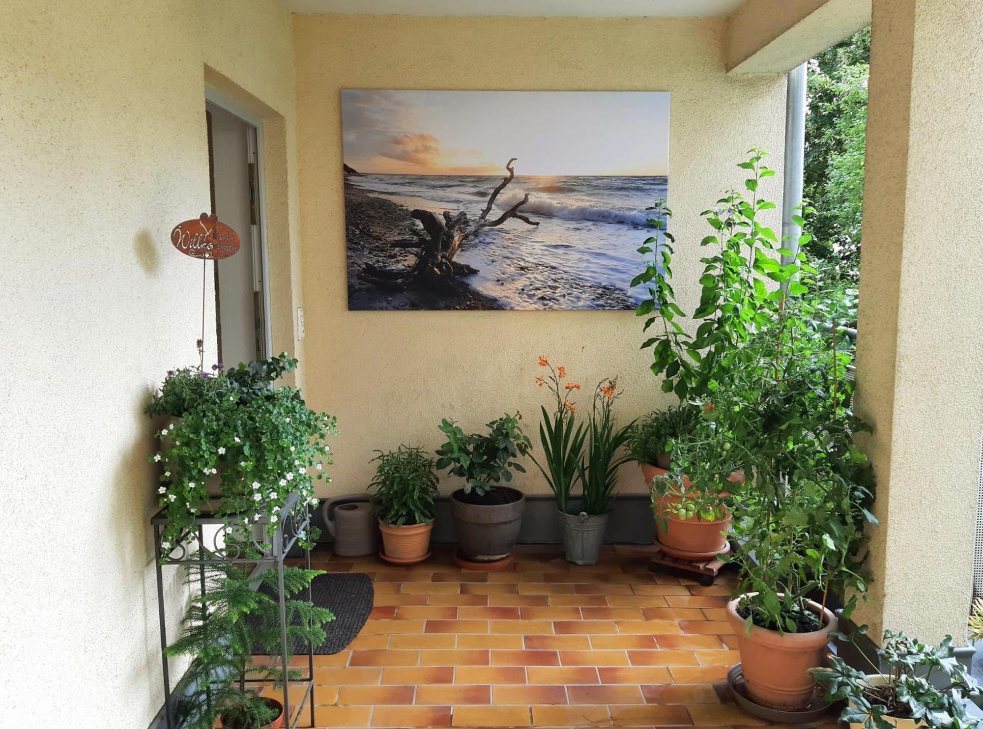 Apartment Ferienwohnung Central